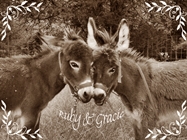 Ruby&Gracie